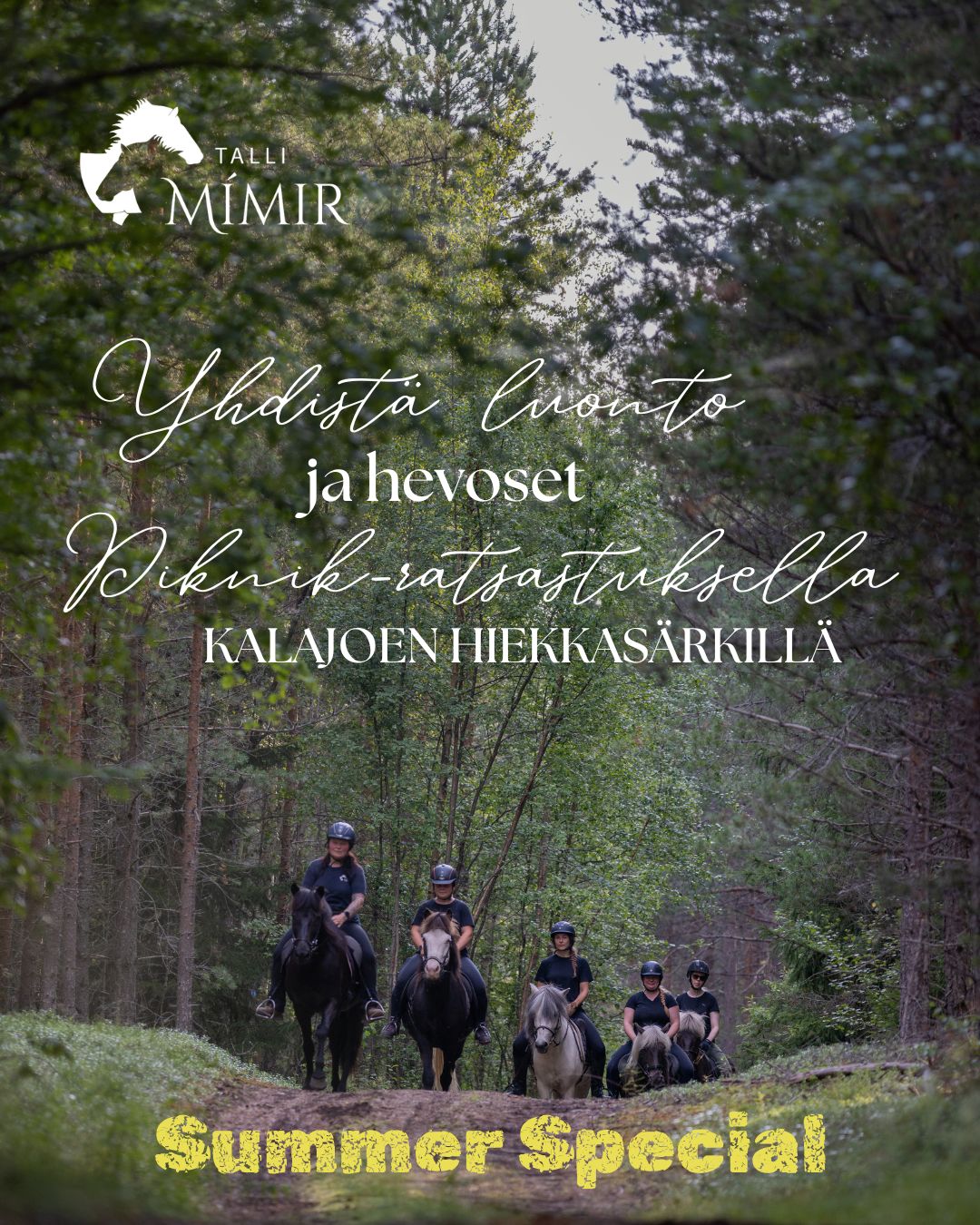 islanninhevosia maastoratsastuksella Kalajoen hiekkasärkillä